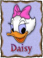 Picture of Daisy